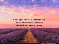 Verliebt in Lavendel: Jungbrunnen Edition