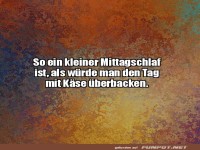 Mittagsschlaf: Der K�se des Tages
