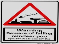 Rentier-Panik unterm Weihnachtsbaum!