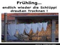 Fr�hlingsgef�hle auf der W�scheleine