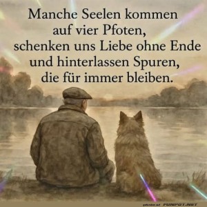 herz-Bild: Pfotenpoesie am See