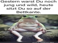 Vom Abenteuer zur Bettkante