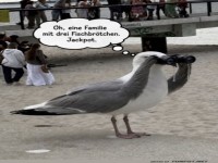 M�wen-Detektiv auf Fischbr�tchen-Mission