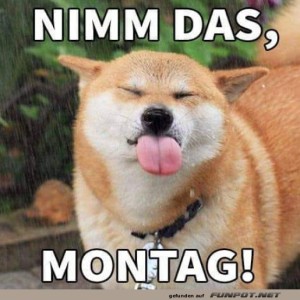 F�r-den-Montag.jpg von Sahneschnitte