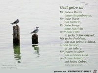 Gott gebe dir
