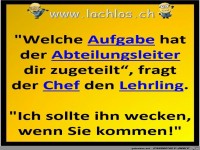 die Aufgabe