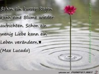 Schon ein kurzer Regen