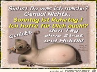 Ohne Stress und Hektik