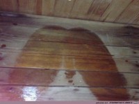 Nie-wieder-nackt-in-die-Sauna