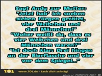 Woran erkennt man das Fliegengeschlecht