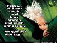 will nur mal kurz st�ren......