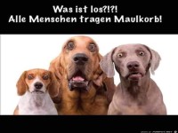 Maulkorb