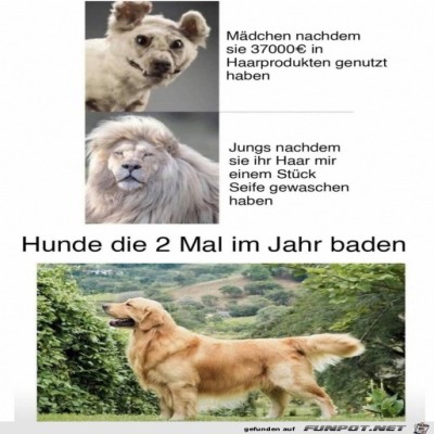 Haare-gewaschen.jpg von Henry