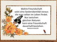 Wahre Freundschaft 1