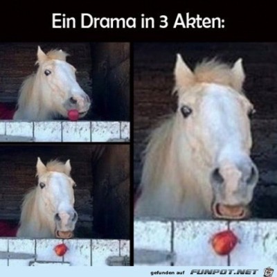 Was-f&uuml;r-ein-Drama.jpg von Tilo