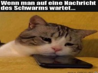 Warten auf eine Nachricht