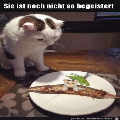 Was-soll-das-denn-sein?.jpg von Ava