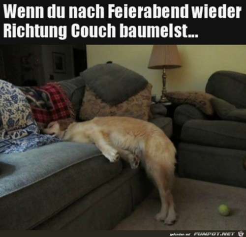 Müder-Hund.jpg auf www.funpot.net