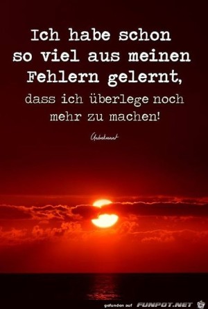 Ich-hab-schon-soviel-aus-meinen-Fehlern-gelernt.jpg auf www.funpot.net