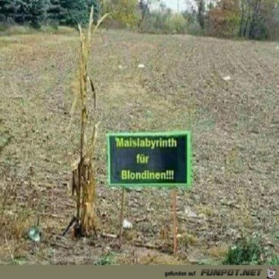 Labyrinth-f&uuml;r-Blondinen.jpg von Vattar