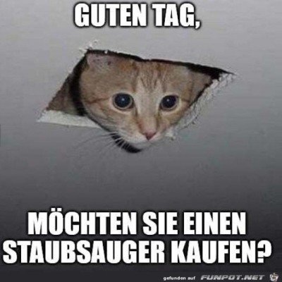 Hallo.jpg von Supersusi