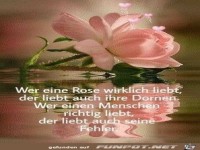 Wer eine Rose liebt