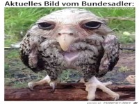 Bundesadler