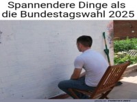 Witz ber Bundestagswahl 2025