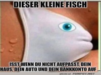 Lustiger Fisch mit großen Appetit