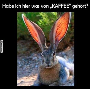 fun-Bild: Kaffeeliebendes Kaninchen mit gro&szlig;en Ohren