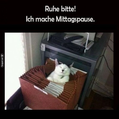 Nap-Zeit-im-B&uuml;ro.jpg von Samu51