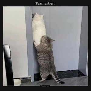fun-Bild: Teamarbeit