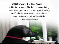 Wuff, wer braucht schon Therapie?