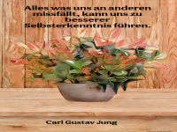 Alles was uns an anderen missf�llt