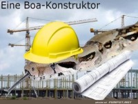 Baumeister Boa: Der neue Bauleiter!