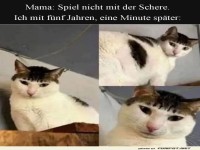 Wenn die Neugier �ber die Vernunft siegt