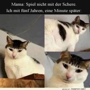 Wenn-die-Neugier-�ber-die-Vernunft-siegt.jpg von Josie-96