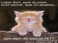 lieber gott wenn du schon nicht machst das ich abnehme