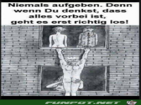 niemals aufgeben