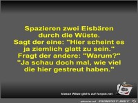 Spazieren zwei Eisb�ren durch die W�ste