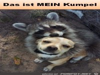 Mein Kumpel