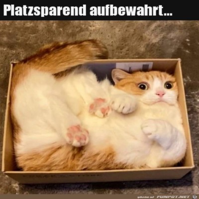 Da-pass-ich-rein.jpg von SWolle