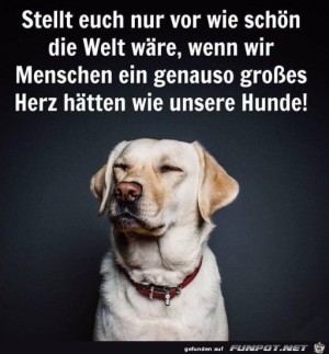 Ein-Herz-wie-ein-Hund.jpg auf www.funpot.net