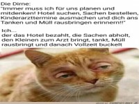Fertiger Blick