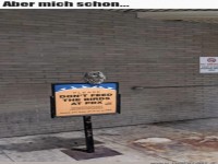 Keine V�gel f�ttern