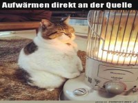 Sch�n warm