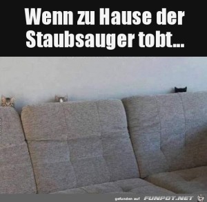 Es-wird-gesaugt.jpg auf www.funpot.net