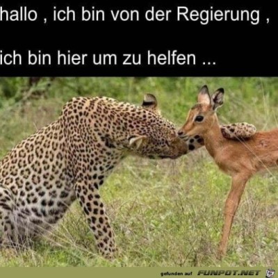 Achtung-Falle.jpg von Runa