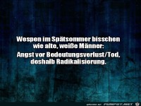 Wespen im Sp�tsommer