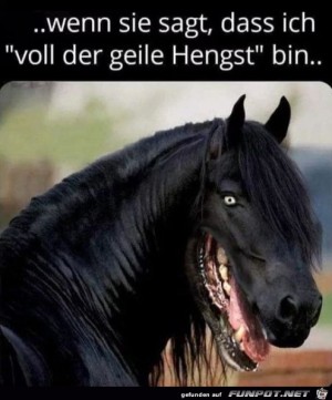 Da-freut-sich-einer.jpg auf www.funpot.net